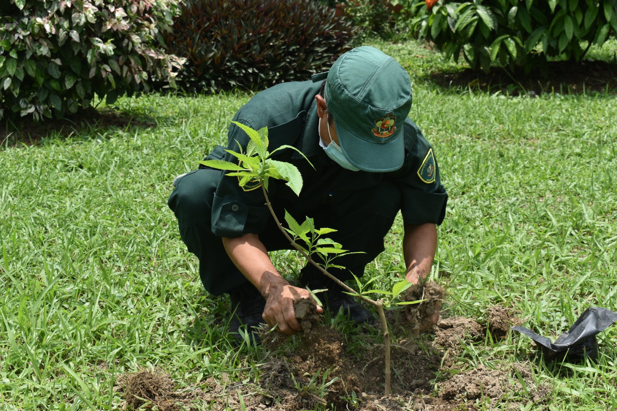 Social Forestry Day