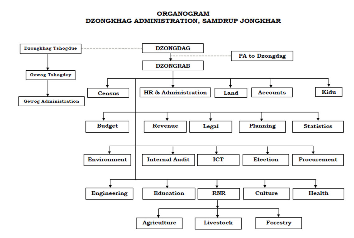 organogram