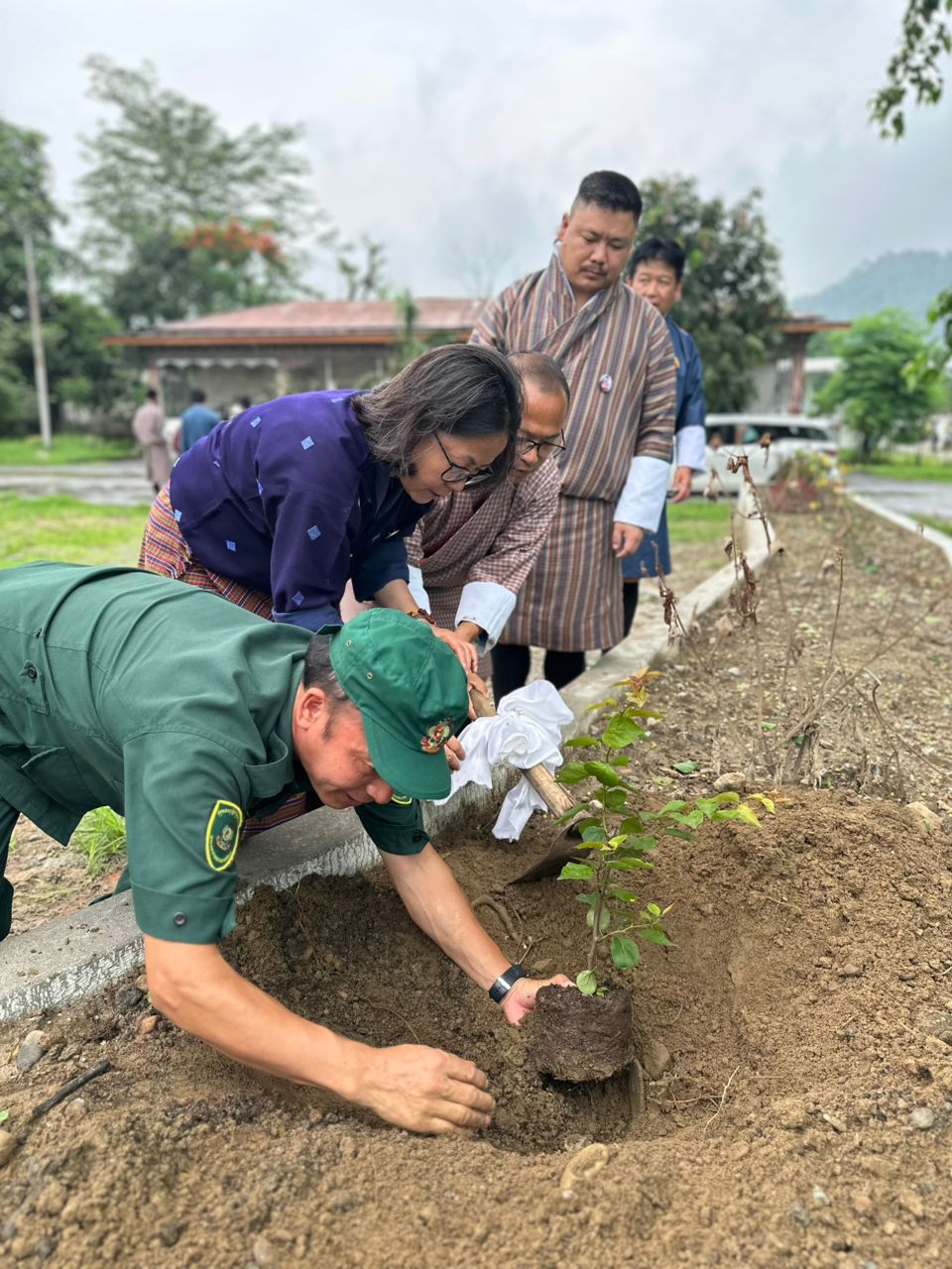 social Forestry Day